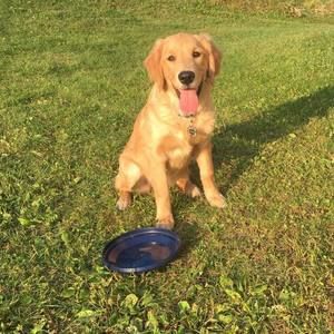 Meet your Posher, Nick